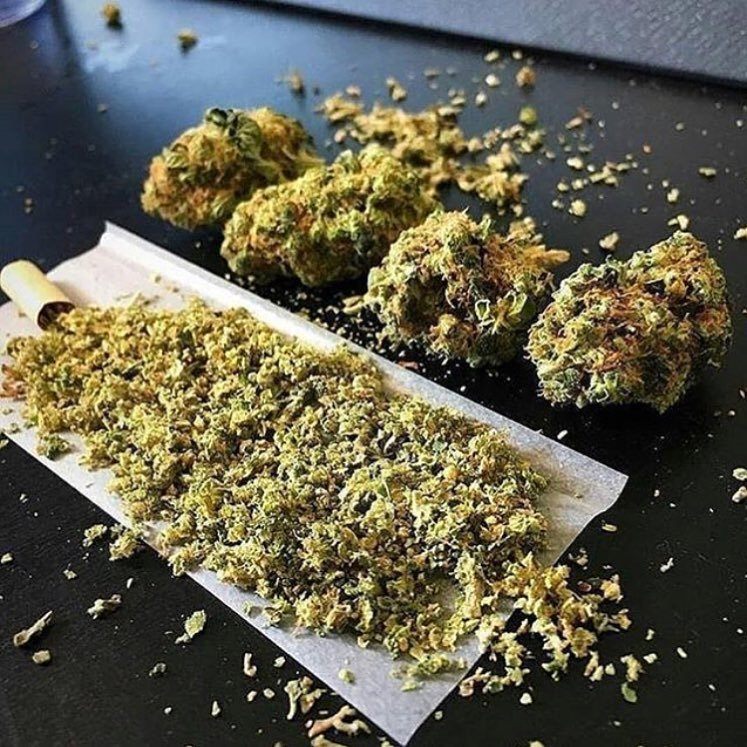 cheese-weed-joint-and-buds